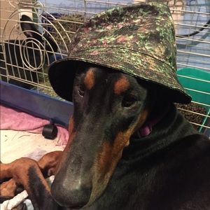 Meet your Posher, Juan